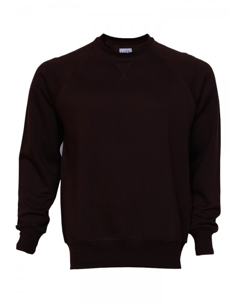 Mens Raglan Sleeve Crew Sweatshirt